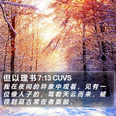但 以 理 书 7:13 CUVS Bible Verse Image