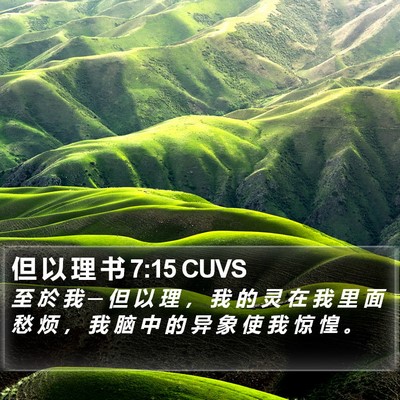 但 以 理 书 7:15 CUVS Bible Verse Image