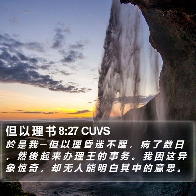 但 以 理 书 8:27 CUVS Bible Verse Image
