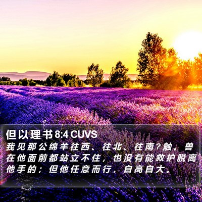 但 以 理 书 8:4 CUVS Bible Verse Image