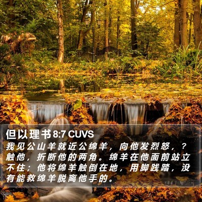 但 以 理 书 8:7 CUVS Bible Verse Image