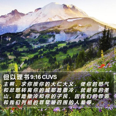 但 以 理 书 9:16 CUVS Bible Verse Image