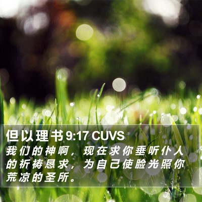 但 以 理 书 9:17 CUVS Bible Verse Image