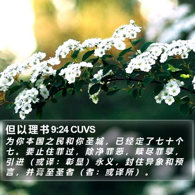 但 以 理 书 9:24 CUVS Bible Verse Image