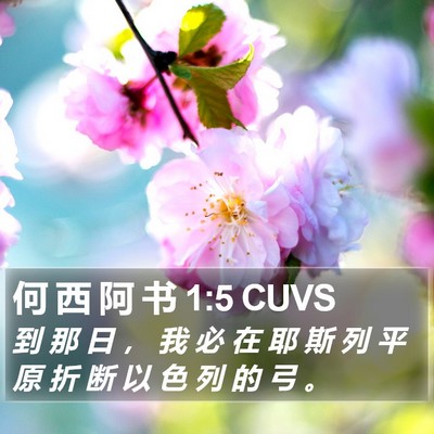 何 西 阿 书 1:5 CUVS Bible Verse Image