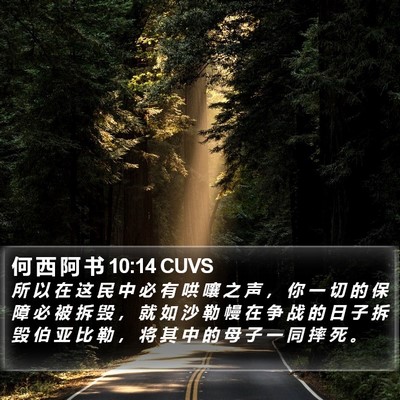 何 西 阿 书 10:14 CUVS Bible Verse Image