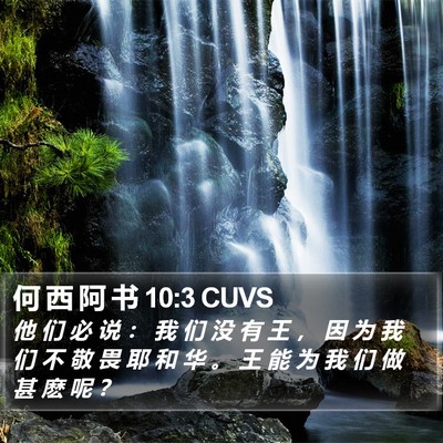 何 西 阿 书 10:3 CUVS Bible Verse Image