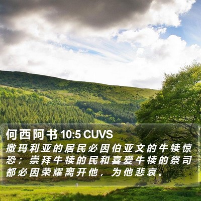 何 西 阿 书 10:5 CUVS Bible Verse Image