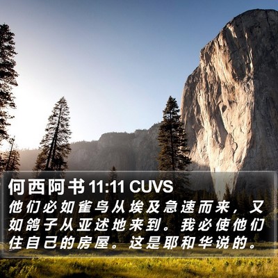 何 西 阿 书 11:11 CUVS Bible Verse Image