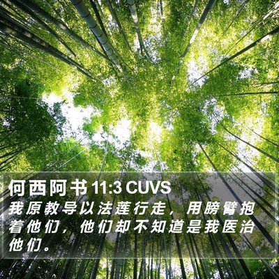 何 西 阿 书 11:3 CUVS Bible Verse Image