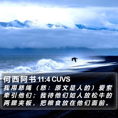 何 西 阿 书 11:4 CUVS Bible Verse Image