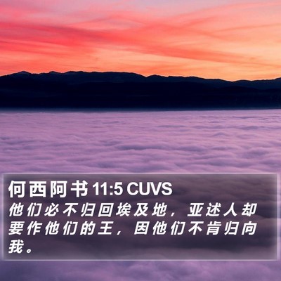 何 西 阿 书 11:5 CUVS Bible Verse Image