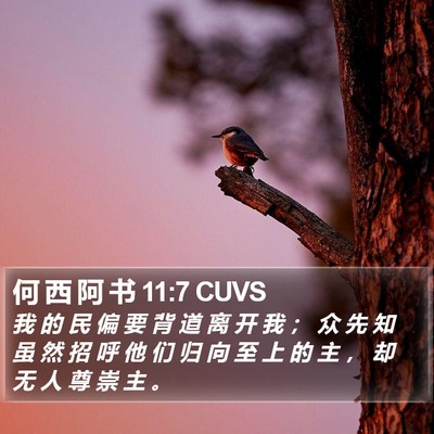 何 西 阿 书 11:7 CUVS Bible Verse Image