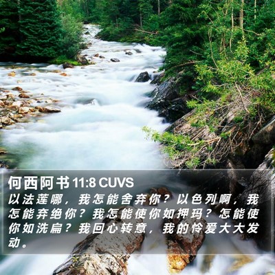 何 西 阿 书 11:8 CUVS Bible Verse Image