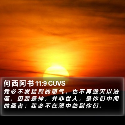 何 西 阿 书 11:9 CUVS Bible Verse Image