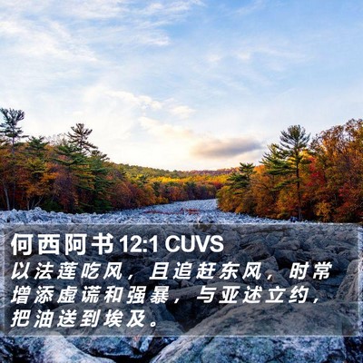 何 西 阿 书 12:1 CUVS Bible Verse Image