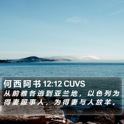 何 西 阿 书 12:12 CUVS Bible Verse Image