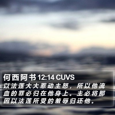何 西 阿 书 12:14 CUVS Bible Verse Image