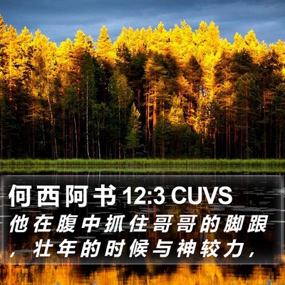 何 西 阿 书 12:3 CUVS Bible Verse Image