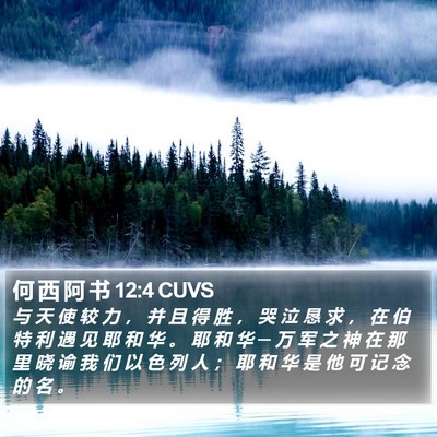 何 西 阿 书 12:4 CUVS Bible Verse Image
