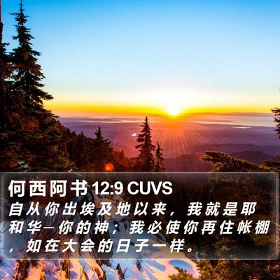 何 西 阿 书 12:9 CUVS Bible Verse Image