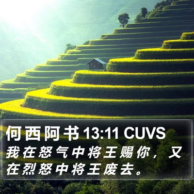 何 西 阿 书 13:11 CUVS Bible Verse Image