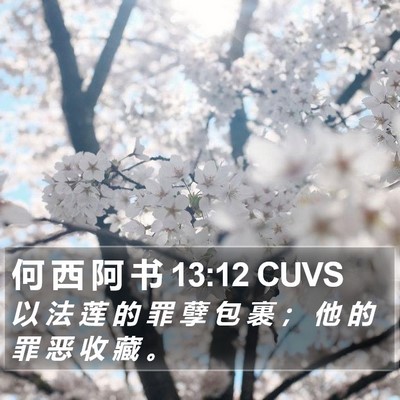 何 西 阿 书 13:12 CUVS Bible Verse Image