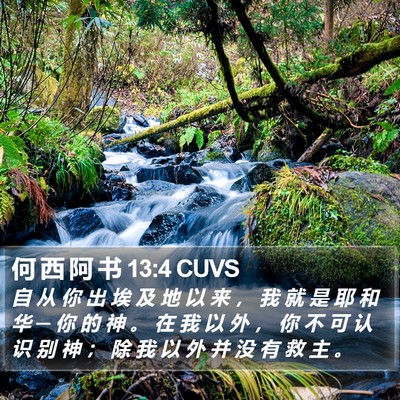 何 西 阿 书 13:4 CUVS Bible Verse Image