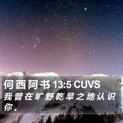 何 西 阿 书 13:5 CUVS Bible Verse Image
