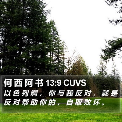 何 西 阿 书 13:9 CUVS Bible Verse Image