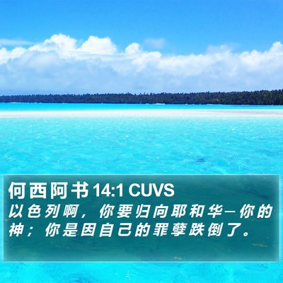 何 西 阿 书 14:1 CUVS Bible Verse Image