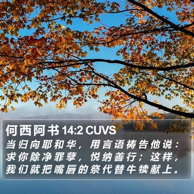 何 西 阿 书 14:2 CUVS Bible Verse Image