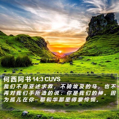何 西 阿 书 14:3 CUVS Bible Verse Image