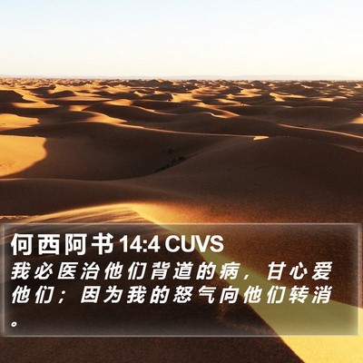 何 西 阿 书 14:4 CUVS Bible Verse Image