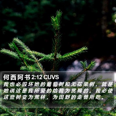何 西 阿 书 2:12 CUVS Bible Verse Image