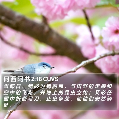 何 西 阿 书 2:18 CUVS Bible Verse Image