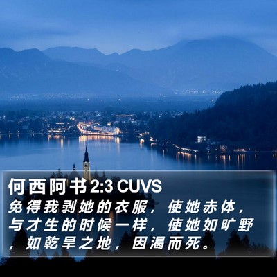 何 西 阿 书 2:3 CUVS Bible Verse Image