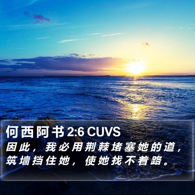 何 西 阿 书 2:6 CUVS Bible Verse Image