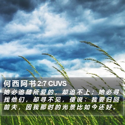 何 西 阿 书 2:7 CUVS Bible Verse Image