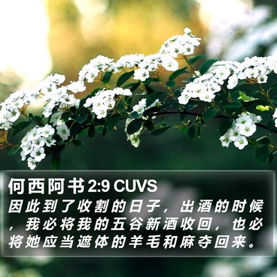 何 西 阿 书 2:9 CUVS Bible Verse Image