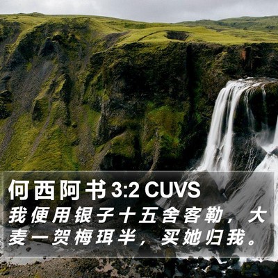 何 西 阿 书 3:2 CUVS Bible Verse Image
