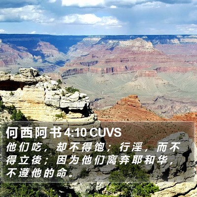 何 西 阿 书 4:10 CUVS Bible Verse Image