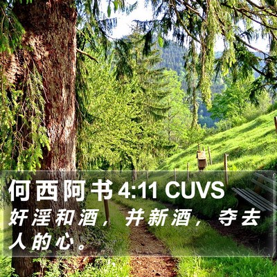 何 西 阿 书 4:11 CUVS Bible Verse Image