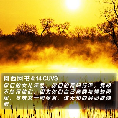 何 西 阿 书 4:14 CUVS Bible Verse Image