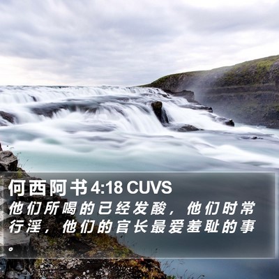 何 西 阿 书 4:18 CUVS Bible Verse Image