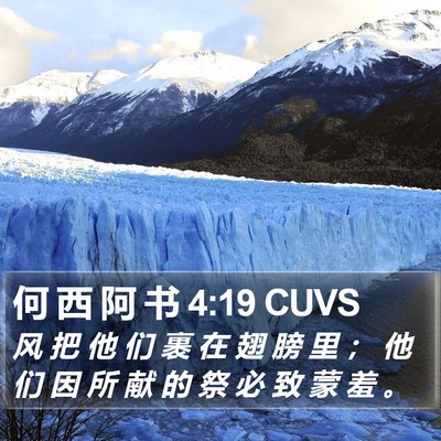 何 西 阿 书 4:19 CUVS Bible Verse Image