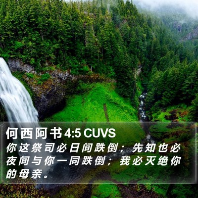 何 西 阿 书 4:5 CUVS Bible Verse Image