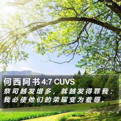何 西 阿 书 4:7 CUVS Bible Verse Image