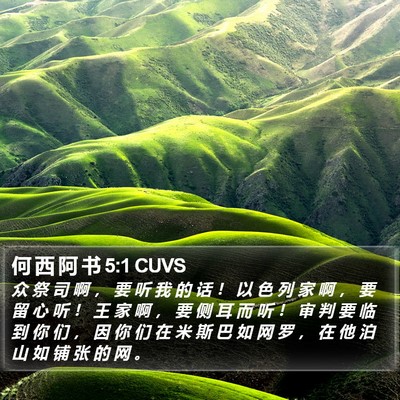 何 西 阿 书 5:1 CUVS Bible Verse Image