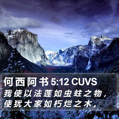 何 西 阿 书 5:12 CUVS Bible Verse Image